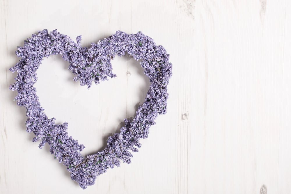 Fresh lavender in a heart shape design Fresh lavender in a heart shape design